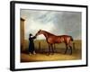 Colonel Udny's Bay Colt Truffle by Sorcerer Held by a Groom, 1815-Abraham Cooper-Framed Giclee Print