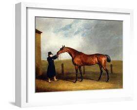 Colonel Udny's Bay Colt Truffle by Sorcerer Held by a Groom, 1815-Abraham Cooper-Framed Giclee Print