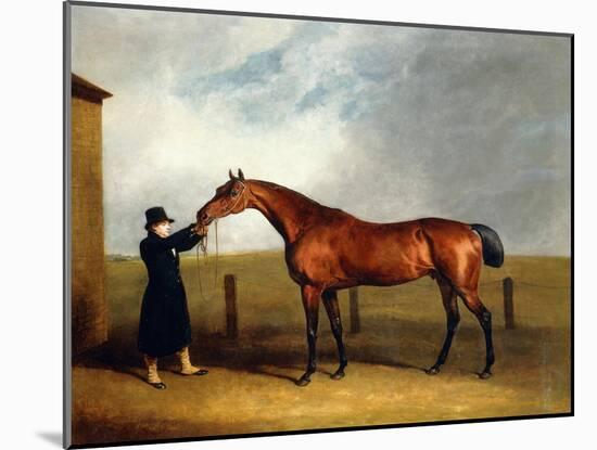 Colonel Udny's Bay Colt Truffle by Sorcerer Held by a Groom, 1815-Abraham Cooper-Mounted Giclee Print