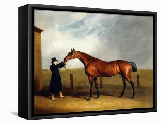 Colonel Udny's Bay Colt Truffle by Sorcerer Held by a Groom, 1815-Abraham Cooper-Framed Stretched Canvas