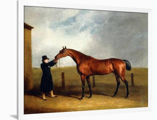 Colonel Udny's Bay Colt Truffle by Sorcerer Held by a Groom, 1815-Abraham Cooper-Framed Giclee Print