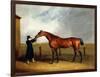 Colonel Udny's Bay Colt Truffle by Sorcerer Held by a Groom, 1815-Abraham Cooper-Framed Giclee Print