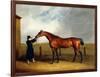 Colonel Udny's Bay Colt Truffle by Sorcerer Held by a Groom, 1815-Abraham Cooper-Framed Giclee Print