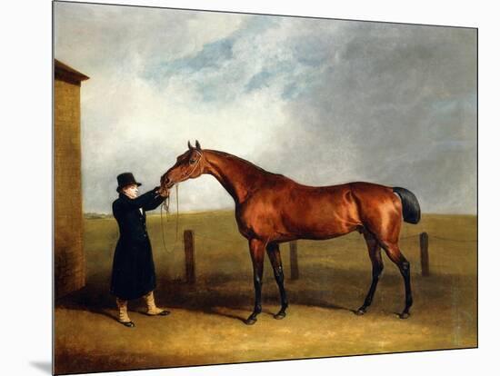 Colonel Udny's Bay Colt Truffle by Sorcerer Held by a Groom, 1815-Abraham Cooper-Mounted Giclee Print