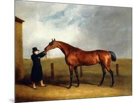 Colonel Udny's Bay Colt Truffle by Sorcerer Held by a Groom, 1815-Abraham Cooper-Mounted Giclee Print