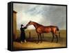 Colonel Udny's Bay Colt Truffle by Sorcerer Held by a Groom, 1815-Abraham Cooper-Framed Stretched Canvas