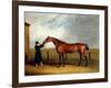 Colonel Udny's Bay Colt Truffle by Sorcerer Held by a Groom, 1815-Abraham Cooper-Framed Giclee Print