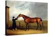 Colonel Udny's Bay Colt Truffle by Sorcerer Held by a Groom, 1815-Abraham Cooper-Stretched Canvas