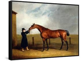 Colonel Udny's Bay Colt Truffle by Sorcerer Held by a Groom, 1815-Abraham Cooper-Framed Stretched Canvas