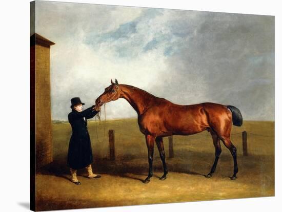 Colonel Udny's Bay Colt Truffle by Sorcerer Held by a Groom, 1815-Abraham Cooper-Stretched Canvas