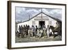 Colonial Africa: Hotel Swan in the Diamond Mine of the South Africa Region, Years 1870. Colourful E-null-Framed Giclee Print