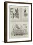 Colonial and Indian Exhibition, New Guinea-null-Framed Giclee Print