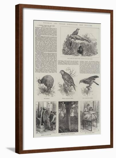 Colonial and Indian Exhibition, New Zealand-null-Framed Giclee Print