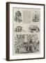 Colonial and Indian Exhibition, Queensland-null-Framed Giclee Print