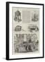 Colonial and Indian Exhibition, Queensland-null-Framed Giclee Print