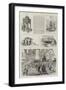 Colonial and Indian Exhibition, Queensland-null-Framed Giclee Print