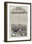 Colonial and Indian Exhibition, Queensland-null-Framed Giclee Print