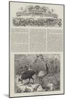 Colonial and Indian Exhibition, Queensland-null-Mounted Giclee Print