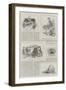 Colonial and Indian Exhibition, Western Australia-S.t. Dadd-Framed Giclee Print