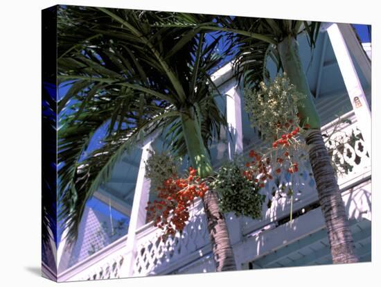 Colonial Architecture and Palm Details, Key West, Florida, USA-David Herbig-Stretched Canvas