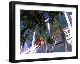 Colonial Architecture and Palm Details, Key West, Florida, USA-David Herbig-Framed Premium Photographic Print