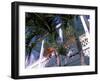 Colonial Architecture and Palm Details, Key West, Florida, USA-David Herbig-Framed Photographic Print