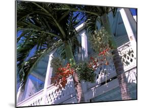 Colonial Architecture and Palm Details, Key West, Florida, USA-David Herbig-Mounted Photographic Print