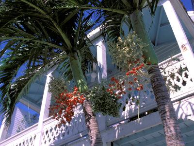 https://imgc.allpostersimages.com/img/posters/colonial-architecture-and-palm-details-key-west-florida-usa_u-L-P85G220.jpg?artPerspective=n