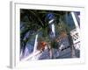 Colonial Architecture and Palm Details, Key West, Florida, USA-David Herbig-Framed Photographic Print