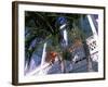 Colonial Architecture and Palm Details, Key West, Florida, USA-David Herbig-Framed Photographic Print