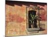 Colonial Architecture, Antigua, Guatemala, Central America-Wendy Connett-Mounted Photographic Print