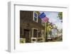 Colonial Architecture in Historic Annapolis, Maryland-Jerry Ginsberg-Framed Photographic Print