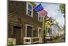 Colonial Architecture in Historic Annapolis, Maryland-Jerry Ginsberg-Mounted Photographic Print