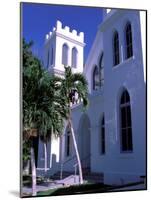 Colonial Architecture, Key West, Florida, USA-David Herbig-Mounted Photographic Print