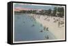 Colonial Beach, VA - Sunbathing & Swimming Scene-Lantern Press-Framed Stretched Canvas