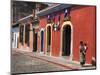Colonial Buildings, Antigua, Guatemala, Central America-Sergio Pitamitz-Mounted Photographic Print