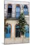 Colonial Buildings in Carmo District Right Next to Pelourinho, Salvador (Salvador de Bahia), Brazil-Yadid Levy-Mounted Photographic Print