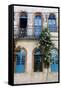 Colonial Buildings in Carmo District Right Next to Pelourinho, Salvador (Salvador de Bahia), Brazil-Yadid Levy-Framed Stretched Canvas