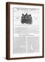 Brown Frame