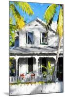 Colonial House VI - In the Style of Oil Painting-Philippe Hugonnard-Mounted Giclee Print