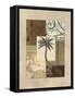 Colonial I-Amy Weaver-Framed Stretched Canvas