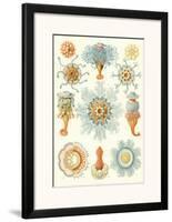 Colonial Jellyfish, Tablet 93, c.1899-1904-Ernst Haeckel-Framed Art Print
