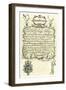 Colonial New Hampshire Three-Pounds Currency, 1740-null-Framed Giclee Print