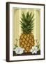 Colonial Pineapple-Lantern Press-Framed Art Print