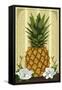 Colonial Pineapple-Lantern Press-Framed Stretched Canvas