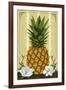 Colonial Pineapple-Lantern Press-Framed Art Print