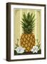 Colonial Pineapple-Lantern Press-Framed Art Print