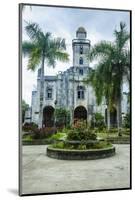 Colonial Spanish Albuquerque Church in Bohol, Philippines, Southeast Asia, Asia-Michael Runkel-Mounted Photographic Print