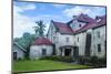 Colonial Spanish Church of Our Lady of the Immaculate Conception, Baclayon Bohol, Philippines-Michael Runkel-Mounted Photographic Print