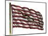 Colonists' Rattlesnake Flag with Don't Tread on Me Slogan-null-Mounted Giclee Print